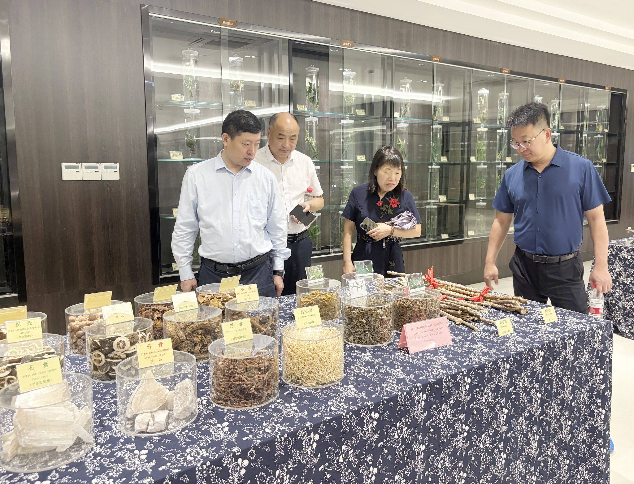 0dcb291d6c41d6935a5227139438a8b